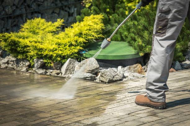 Best Roof Washing  in Summitville, IN